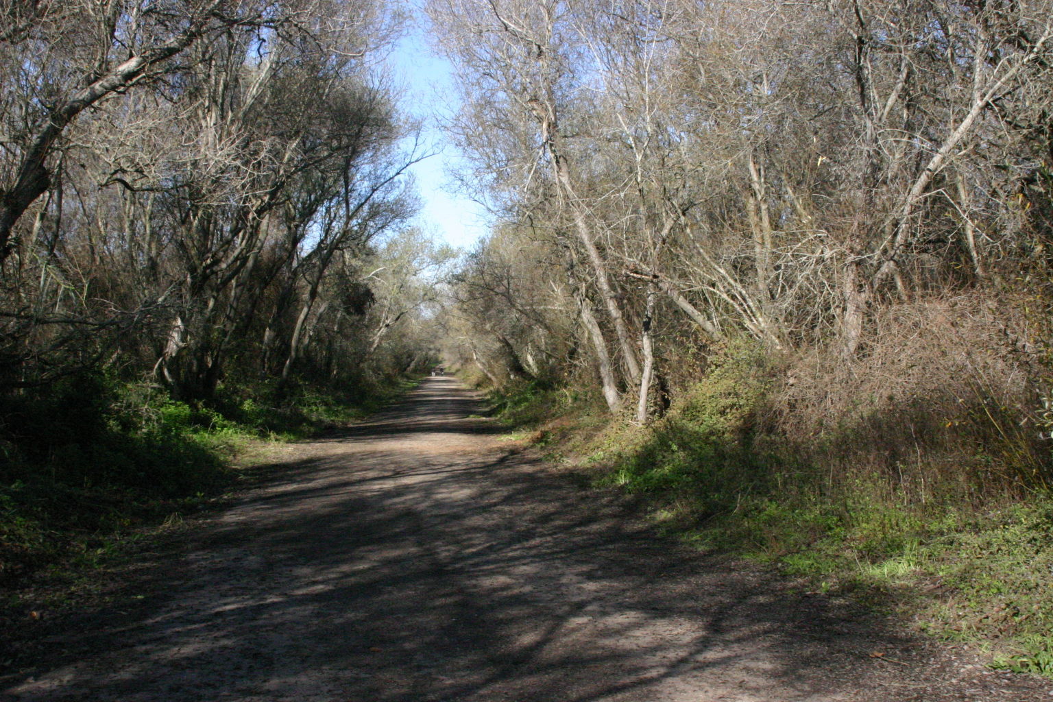 Oso Flaco Boardwalk